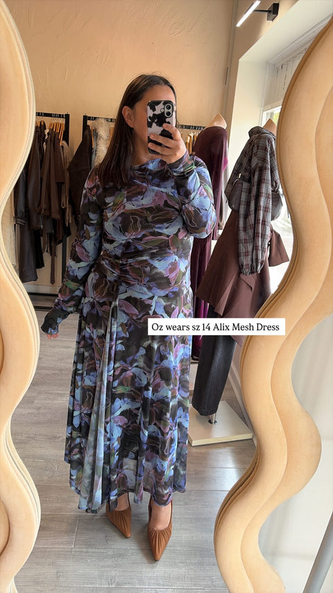 Alix Mesh Dress