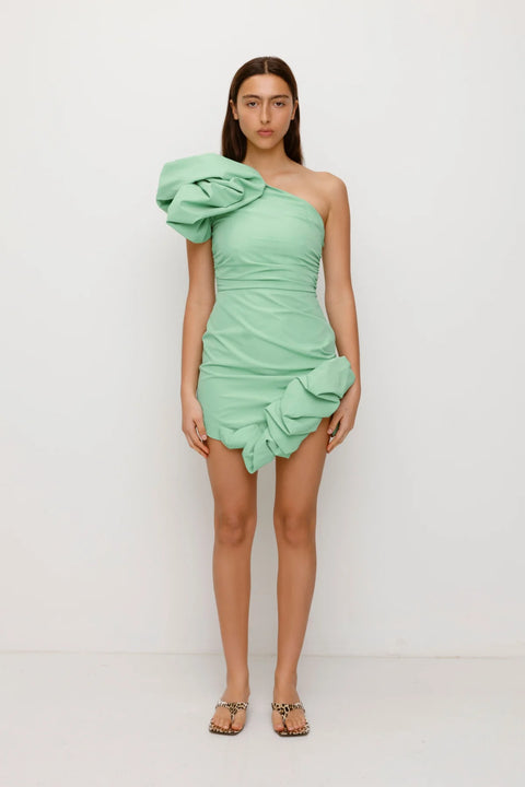 Octavia Mini Dress (final sale)