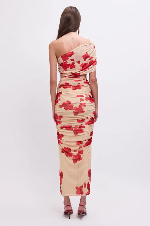 Suzie One-Shoulder Floral Mesh Maxi Dress