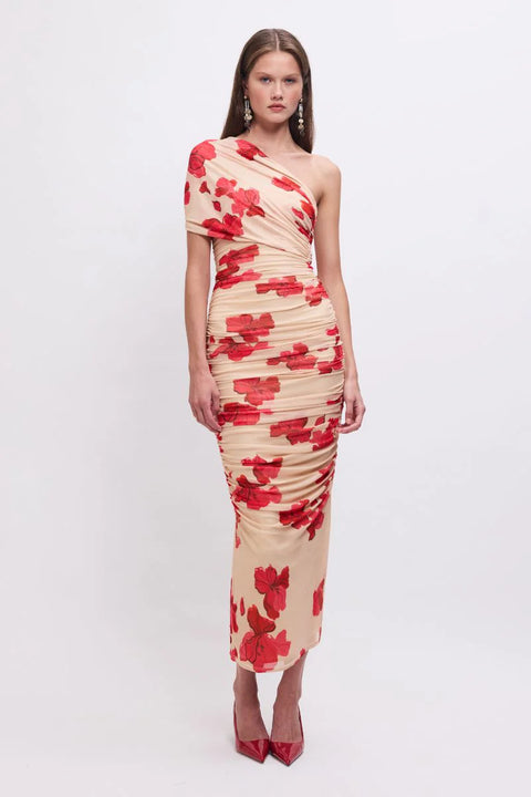 Suzie One-Shoulder Floral Mesh Maxi Dress